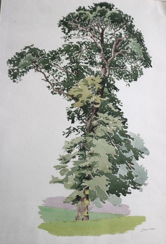 Original kunstwerk von john - -,