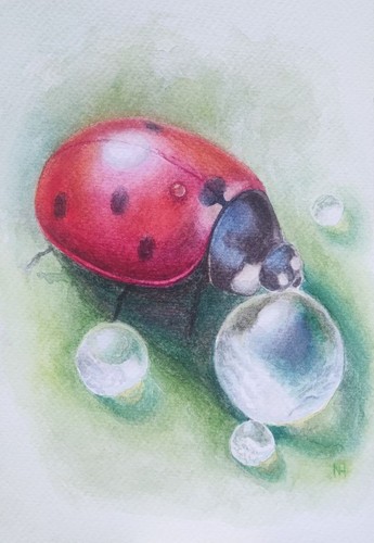 Aquarell marienkäfer original - aquarell,